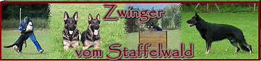 Zwinger vom Staffelwald